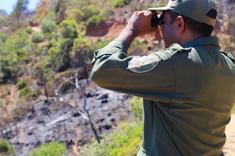 12 ألف جريمة غابوية سنوياً بالمغرب .. خبراء ينادون بتشديد الزجر القانوني